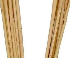 Bamboo U Trellis Wholesale - Vantidebamboo.com