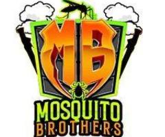 Mosquito Brothers